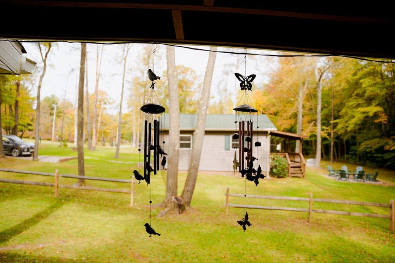 Cozy Cottage Near Cook Forest Park, Anf Marienville Exterior photo